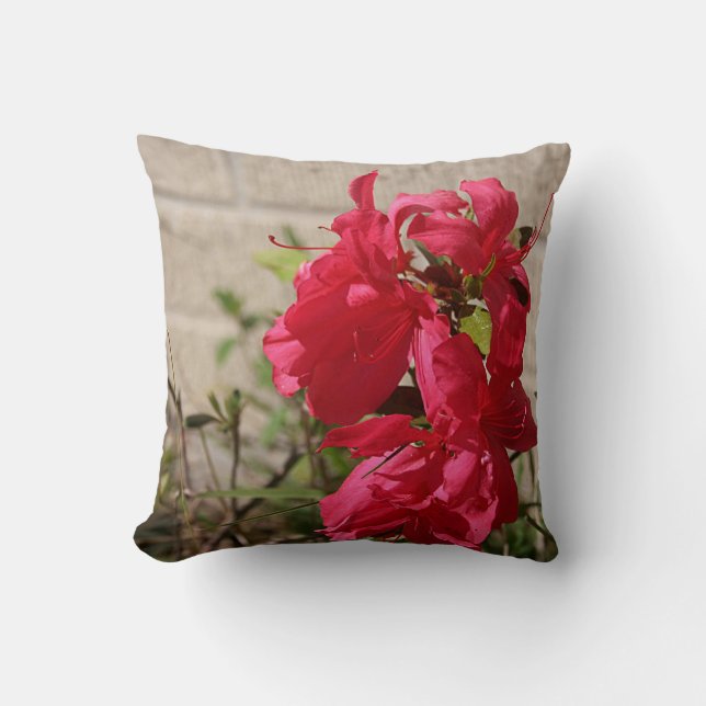 Den röda Gladiolas våren blomstrar dekorativ kudde (Framsida)