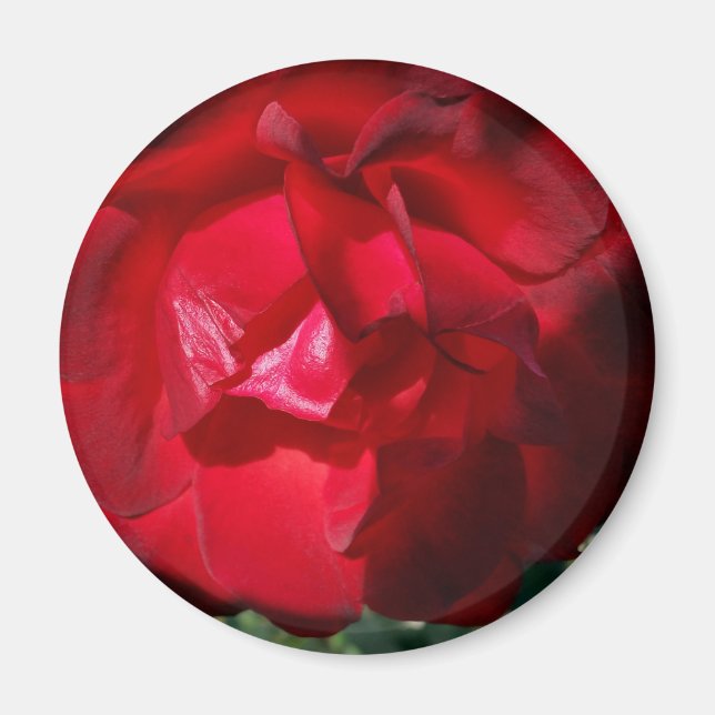 Den röda hösten magnet (Framsidan)