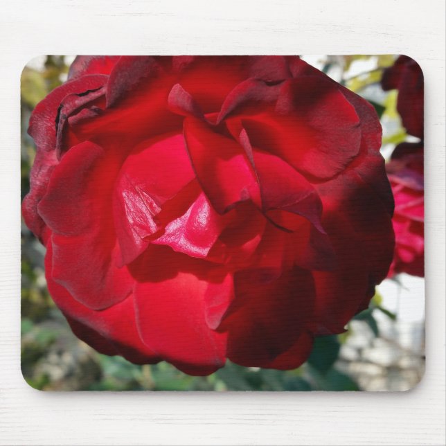 Den röda hösten musmatta (Framsidan)