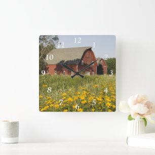 Den röda ladugården och gula vildblommar kvadrerar fyrkantig klocka