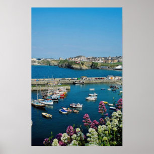 Den röda Newquay hamnen, Cornwall, Storbritannien Poster