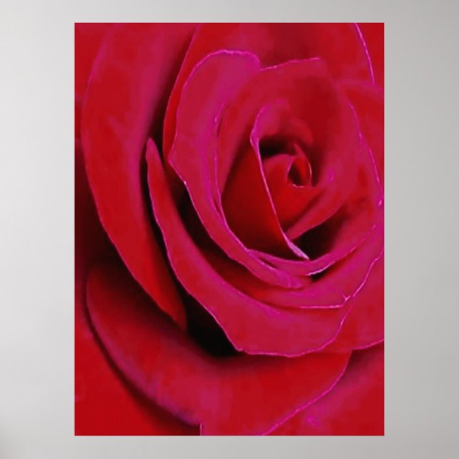 DEN RÖDA ROSEN      POSTER (Framsidan)