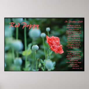 Den röda vallmoens betydelse poster