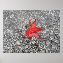 Den röda zoombakgrunden för kontoret i löv"- poster