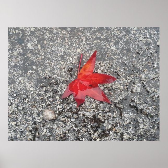 Den röda zoombakgrunden för kontoret i löv"- poster (Framsidan)