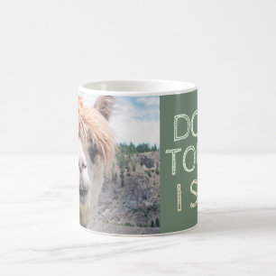 Den roliga Alpacallamaen inte handlag spottar jag Kaffemugg