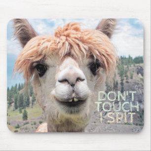 Den roliga Alpacallamaen inte handlag spottar jag Musmatta