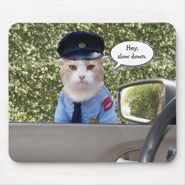 Den roliga anpassadet kommenderar katten musmatta (Framsidan)