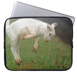 Den roliga banhoppningen för get för getbabyvit laptop sleeve