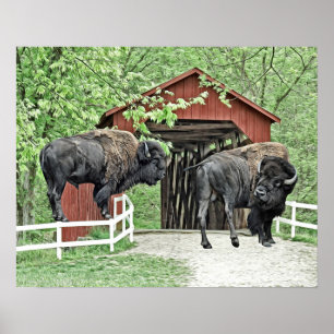 Den roliga bisonen på det doldt överbryggar poster