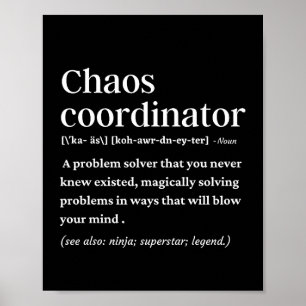 Den roliga definitionen av Chaos-koordinator Poster