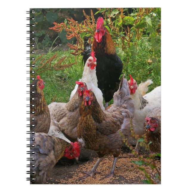 Den roliga farmyarden blir rädd hönor & anteckningsbok med spiral (Framsidan)