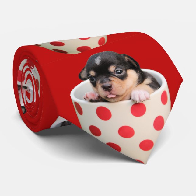 Den roliga gulliga bebischihuahuaen i röd polka slips (Rullad)