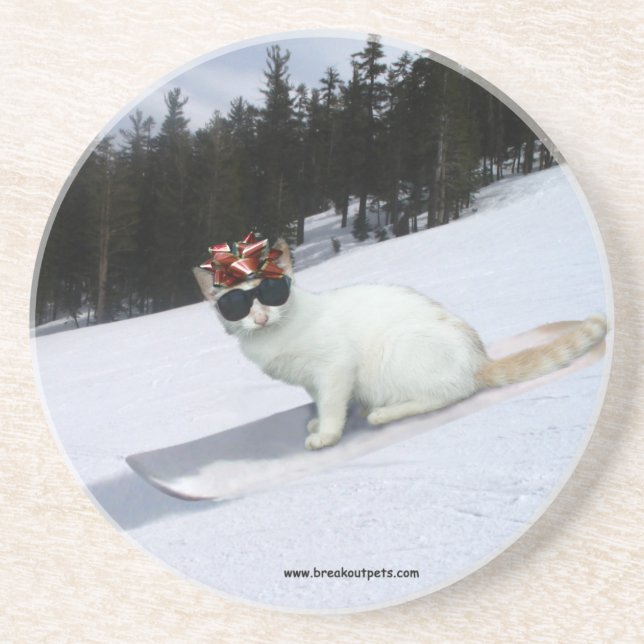Den roliga katten på en Snowboard underlägg Sandsten (Framsidan)