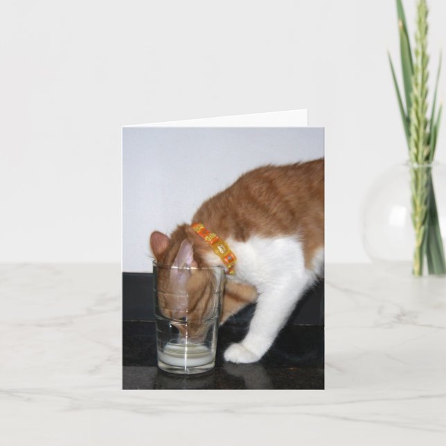 Den roliga katten som dricker från tomt kort (Framsida)