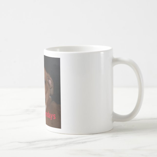 Den roliga muggen för boxarehund"hatar jag kaffemugg (Höger)