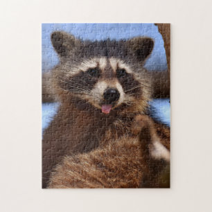 Den roliga raccoonen som klibbar det, är tungan u pussel