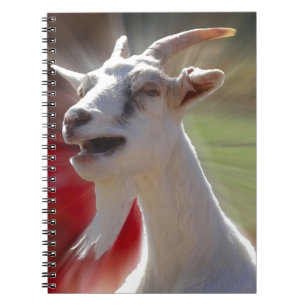 Den roliga Tallking geten fotograferar Anteckningsbok Med Spiral