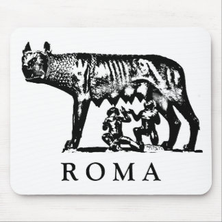 Den ROMA Hon-Vargen musen vadderar Musmatta