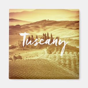 Den romantiska soliga tuscany italien borstar magnet