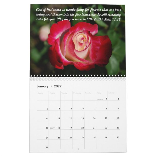 Den rosa bibeln Verses kalender 2016 (Jan 2027)