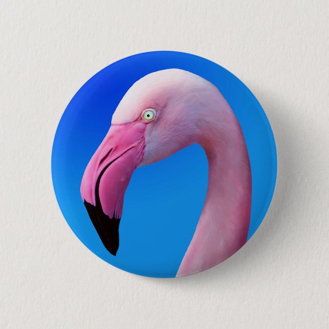 Den rosa FlamingoporträttcloseUpen knäppas Knapp (Framsida)