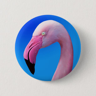 Den rosa FlamingoporträttcloseUpen knäppas Knapp