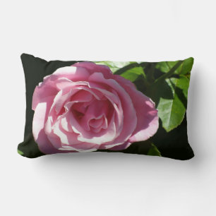Den rosa glansen steg lumbarkudde