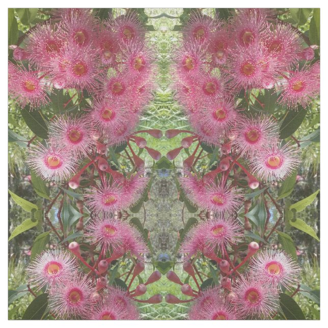 Den rosa Gumnut eucalyptusen blommar den Tyg (Provkarta)
