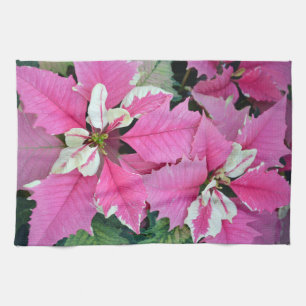 Den rosa juljulstjärnan blommar kökshandduken kökshandduk