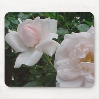 Den rosa klättringen steg musmatta