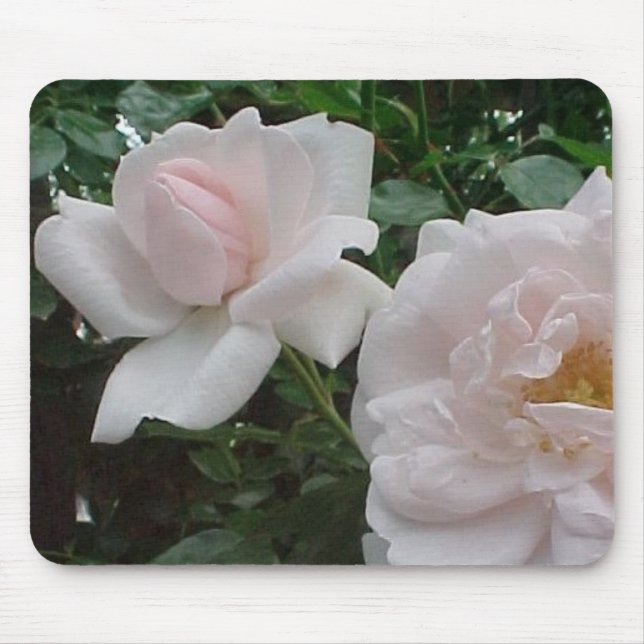 Den rosa klättringen steg musmatta (Framsidan)