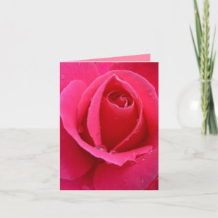 Den rosa kortrosan blommar det beställnings- kort