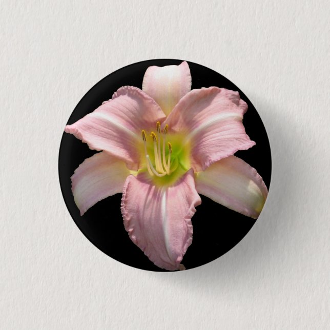 Den rosa liljan knäppas knapp (Framsida)