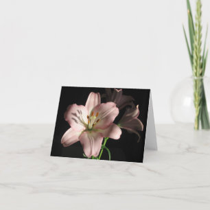 Den rosa liljan noterar kortet kort