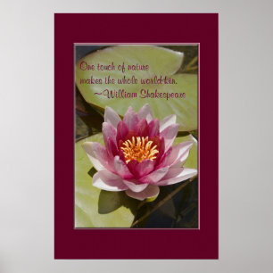 Den rosa näckrosblommanärbilden fotograferar poster