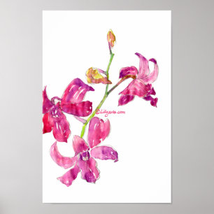 Den rosa Orchidbabyblommigten skissar Poster