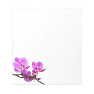Den rosa orchiden blommar anteckningsblocket anteckningsblock