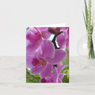Den rosa orchiden tackar dig tack kort