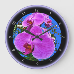 Den rosa orchiden tar tid på stor klocka