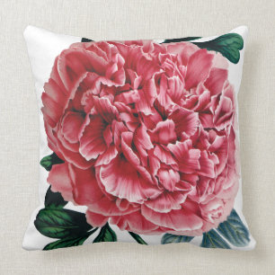 Den rosa stora pionblomman dämpar kudde
