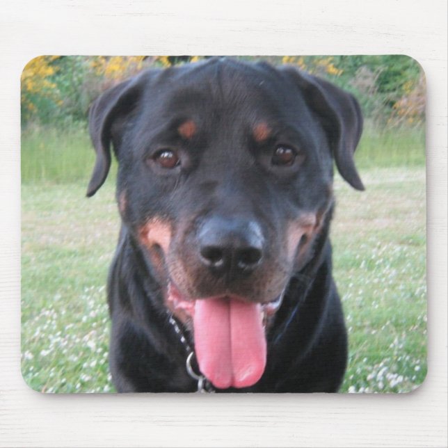 Den Rottie musen vadderar Musmatta (Framsidan)