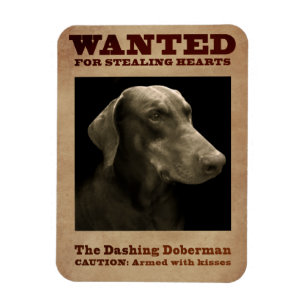 Den rusa Dobermanmagneten Magnet