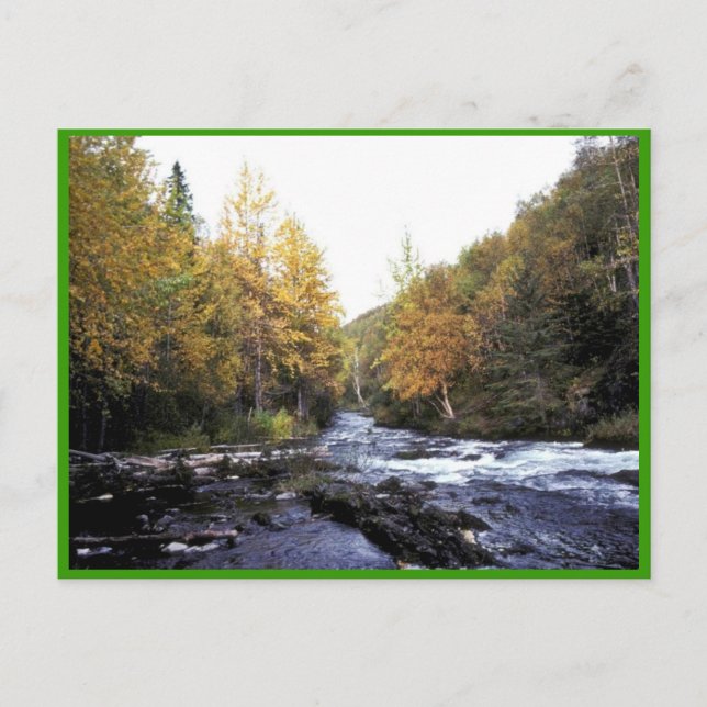 Den ryska floden vykort (Framsida)