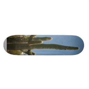 Den Saguara kaktusskridskon stiger ombord Skateboard Bräda 19,5 Cm