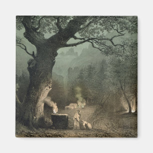 Den sakrala dungen av druidsna magnet