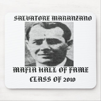 Den Salvatore Maranzano maffiamusen vadderar Musmatta