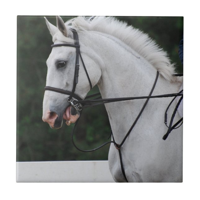 Den samlade vithästen belägger med tegel kakelplatta (Framsidan)