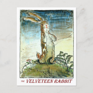 Den sammetsmjuka kaninen - vykort