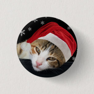 Den Santa katten knäppas/emblem Knapp